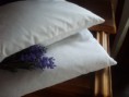 vankúš s levanduľou 20x40